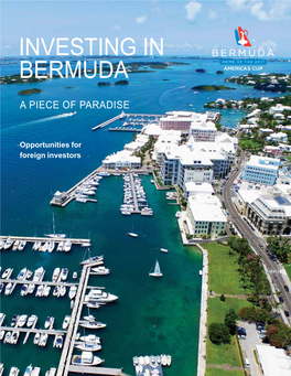 Investing in Bermuda