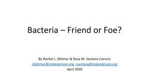 Bacteria – Friend Or Foe?