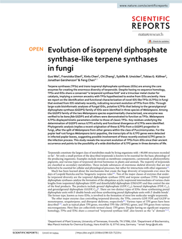 Evolution of Isoprenyl Diphosphate Synthase-Like Terpene