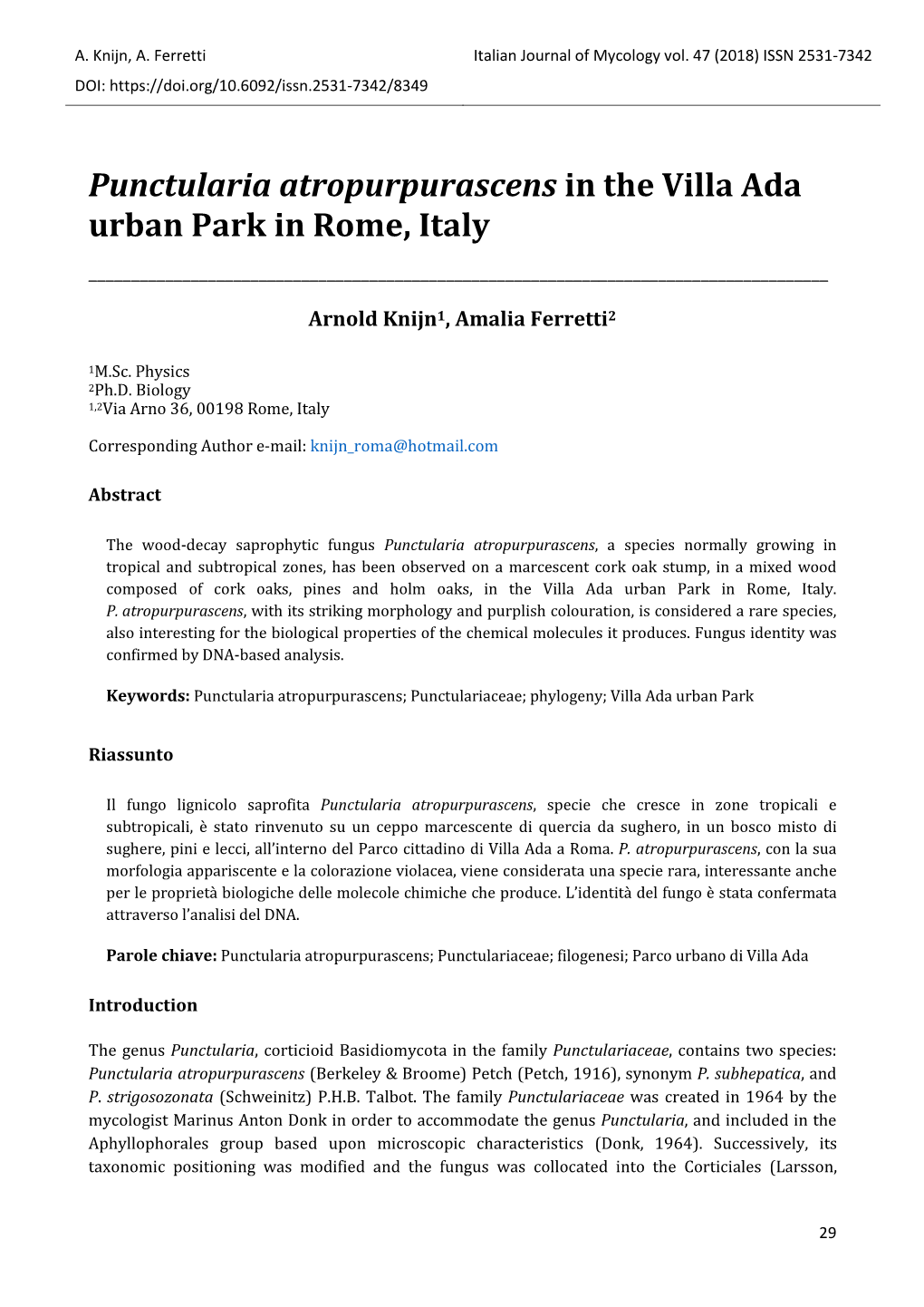 Punctularia Atropurpurascens in the Villa Ada Urban Park in Rome, Italy