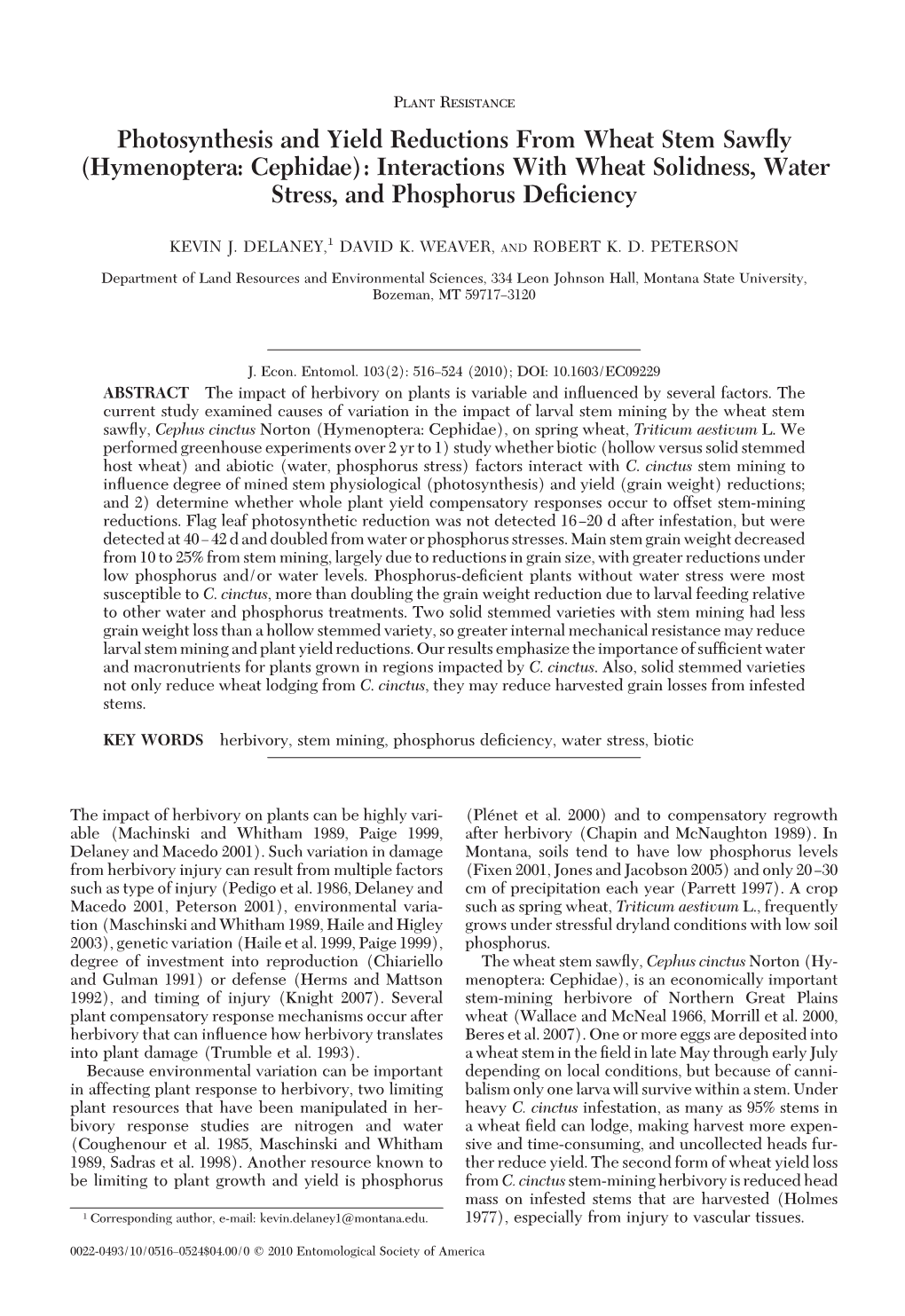 Photosynthesis and Yield Reductions from Wheat Stem Sawﬂy (Hymenoptera: Cephidae): Interactions with Wheat Solidness, Water Stress, and Phosphorus Deﬁciency