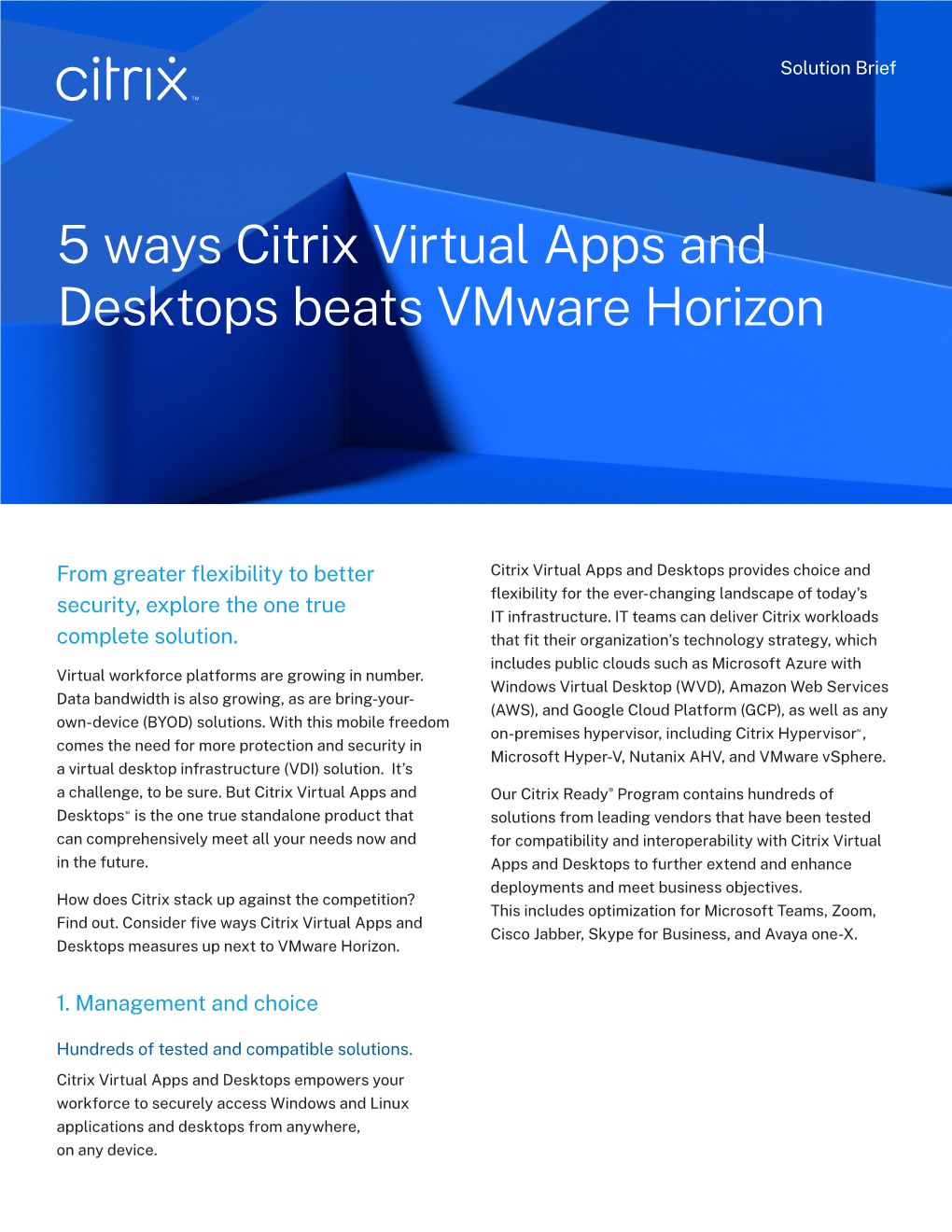 5 Ways Citrix Virtual Apps and Desktops Beats Vmware Horizon