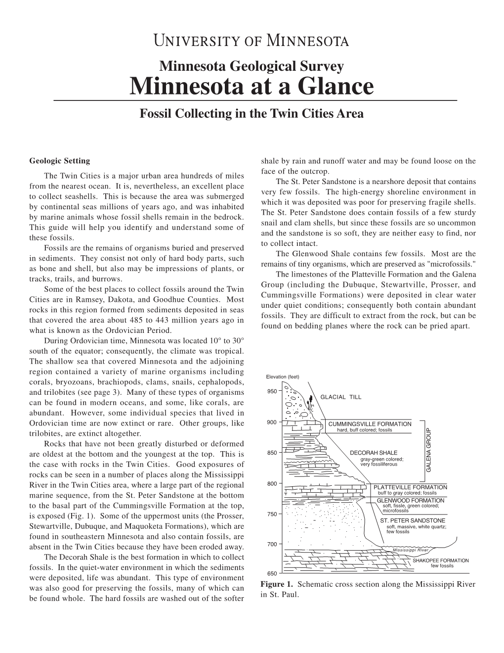 Minnesota at a Glance Fossil Collecting in the Twin Cities Area