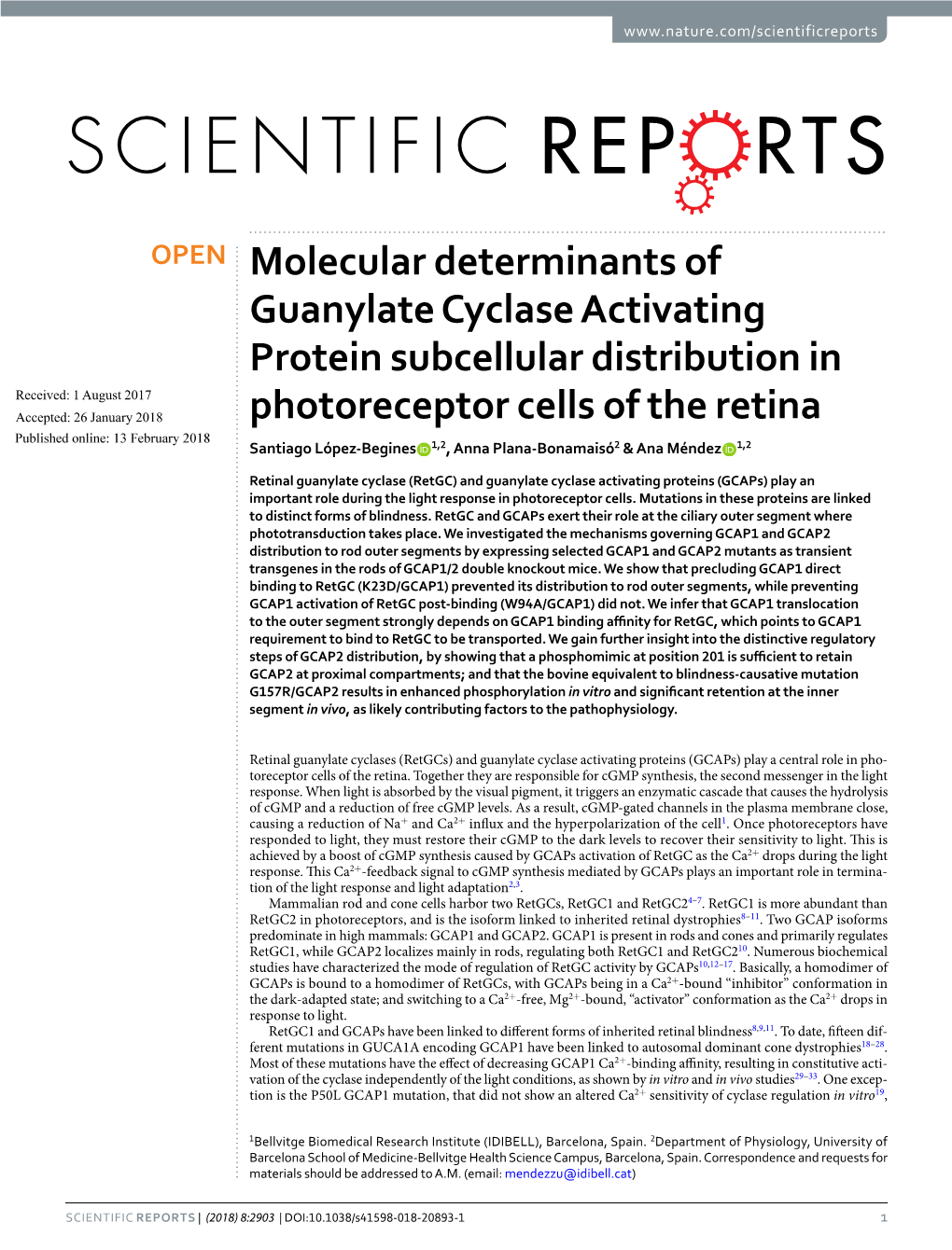 Molecular Determinants of Guanylate Cyclase Activating Protein