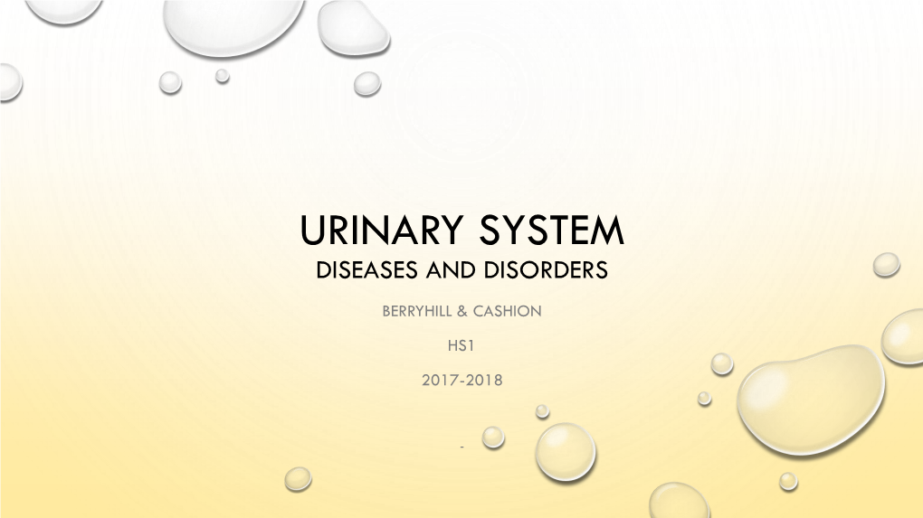 Urinary System Diseases and Disorders