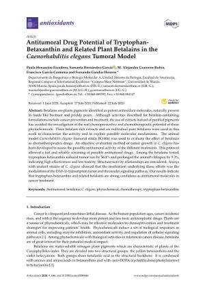 Betaxanthin and Related Plant Betalains in the Caenorhabditis Elegans Tumoral Model