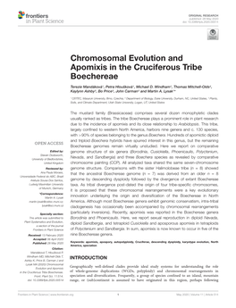 Chromosomal Evolution and Apomixis in the Cruciferous Tribe Boechereae