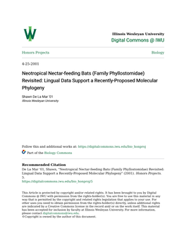 Neotropical Nectar-Feeding Bats (Family Phyllostomidae) Revisited: Lingual Data Support a Recently-Proposed Molecular Phylogeny