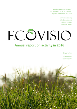 Annual Report on Activity in 2016
