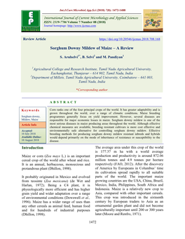 Sorghum Downy Mildew of Maize – a Review