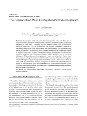 The Cellular Slime Mold: Eukaryotic Model Microorganism
