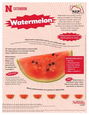 Watermelons Are Usually Round Or Oblong and Weigh 5 to 30 Pounds