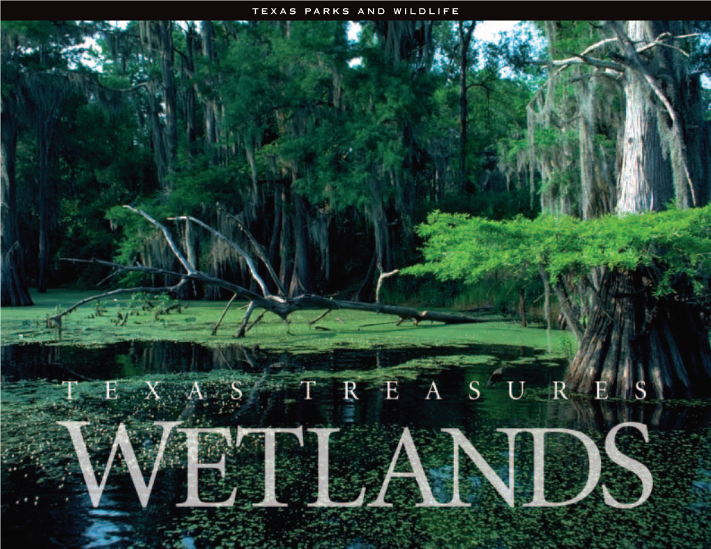 Texas Treasures: Wetlands