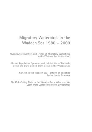 Migratory Waterbirds in the Wadden Sea 1980 – 2000