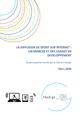 La Diffusion De Sport Sur Internet : Un Marche Et Des Usages En Developpement