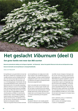Het Geslacht Viburnum (Deel I) Een Grote Familie Met Meer Dan 860 Soorten