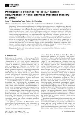 Phylogenetic Evidence for Colour Pattern Convergence in Toxic Pitohuis