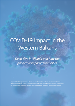 COVID-19 Impact in the Western Balkans