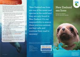 New Zealand Sea Lions and Seals Are Charismatic Animals and People Are Encouraged to Stop and Take the Time to Enjoy Them
