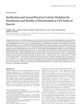 Myelination and Axonal Electrical Activity Modulate the Distribution and Motility of Mitochondria at CNS Nodes of Ranvier