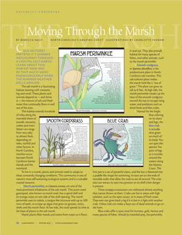 Marsh Periwinkle Habitat for Many Species of and JOURNEY THROUGH Fishes, and Other Animals, Such