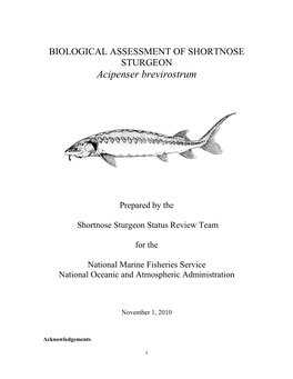 Biological Review of Shortnose Sturgeon