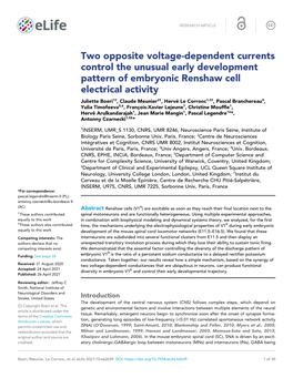 Two Opposite Voltage-Dependent Currents Control the Unusual Early