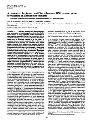 A Conserved Heptamer Motif for Ribosomal RNA Transcription