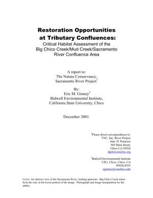 Restoration Opportunities at Tributary Confluences: Critical Habitat Assessment of the Big Chico Creek/Mud Creek/Sacramento River Confluence Area