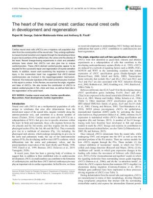 Cardiac Neural Crest Cells in Development and Regeneration Rajani M