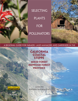 California Coastal Steppe Mixed Forest Redwood Forest Province