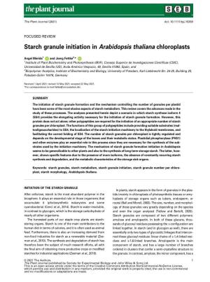 Starch Granule Initiation in Arabidopsis Thaliana Chloroplasts