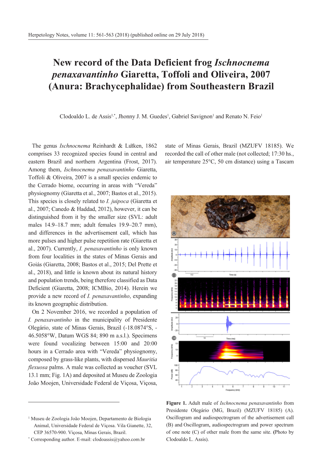 New Record of the Data Deficient Frog Ischnocnema Penaxavantinho Giaretta, Toffoli and Oliveira, 2007 (Anura: Brachycephalidae) from Southeastern Brazil