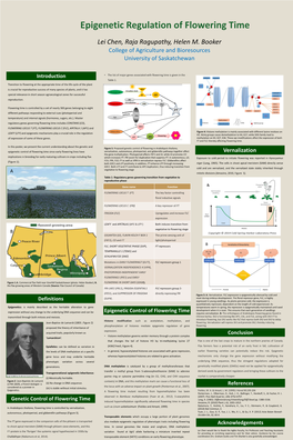 Epigenetic Regulation of Flowering Time