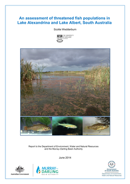 An Assessment of Threatened Fish Populations in Lake Alexandrina and Lake Albert, South Australia