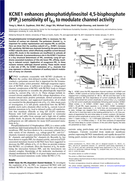 KCNE1 Enhances Phosphatidylinositol 4,5-Bisphosphate (PIP2) Sensitivity of Iks to Modulate Channel Activity