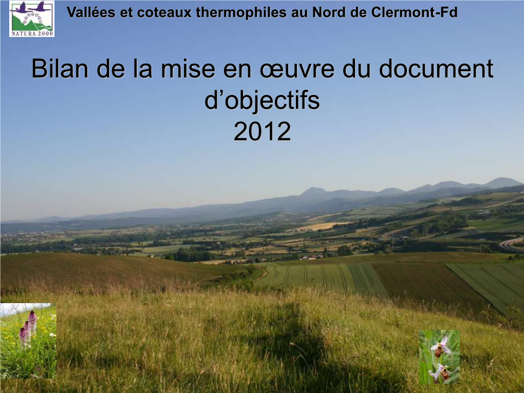 Vallées Et Coteaux Thermophiles Au Nord De Clermont-Fd
