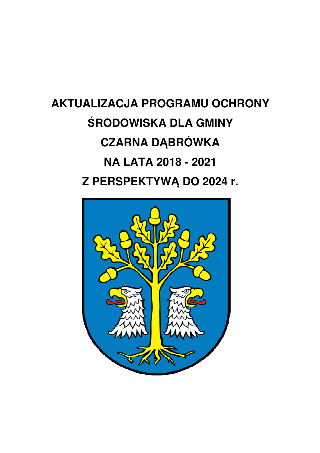 Aktualizacja Programu Ochrony Środowiska Dla Gmina Czarna