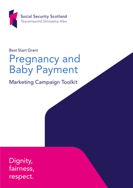 Pregnancy and Baby Payment Marketing Campaign Toolkit