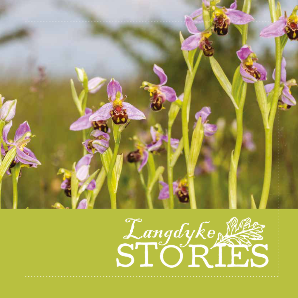 Langdyke Stories Celebrates Our Connections with Nature, Heritage, Culture and Community