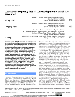 Low-Spatial-Frequency Bias in Context-Dependent Visual Size Perception