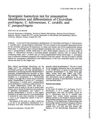 Synergistic Haemolysis Test for Presumptive Identification and Differentiation of Clostridium Perfringens, C
