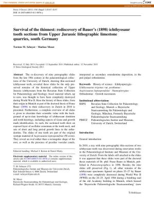 Survival of the Thinnest: Rediscovery of Bauer's (1898) Ichthyosaur Tooth Sections from Upper Jurassic Lithographic Limestone