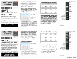 Datasheet for Tridye™ 100 Bp DNA Ladder (N3271; Lot 0131204)