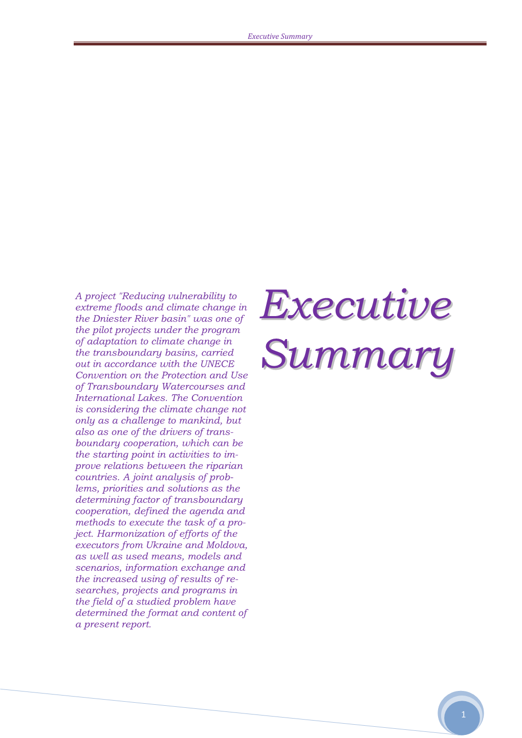 Vulnerability Assessment ( Executive Summary)