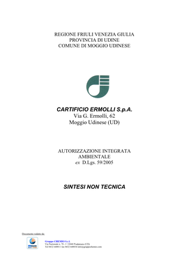 CARTIFICIO ERMOLLI S.P.A. Via G. Ermolli, 62 Moggio Udinese (UD) SINTESI NON TECNICA