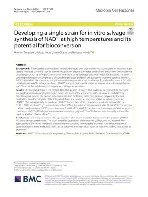 Developing a Single Strain for in Vitro Salvage Synthesis of NAD+ at High