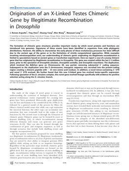 Origination of an X-Linked Testes Chimeric Gene by Illegitimate Recombination in Drosophila