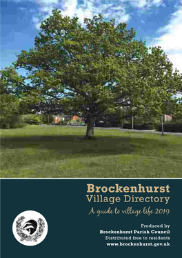 Link to Open the Village Directory