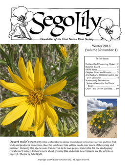2016 Sego Lily Newsletter